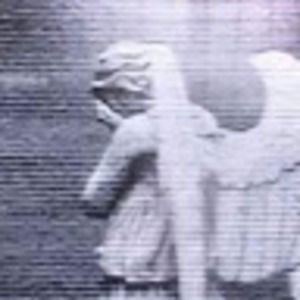 Meet your Posher, Livi